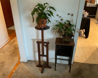 PLANTS AND VINTAGE STANDS