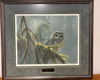 Robert Bateman  “Mossy Branches -Spotted Owl”