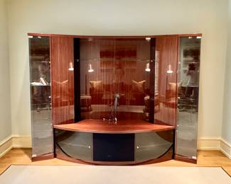 Excelsior contemporary entertainment center