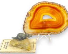 Vintage Yellow Mica South Dakota Dinosaur Figurine and Agate Mixed Slices
