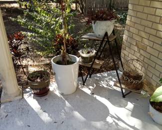 Plant stand and plants.