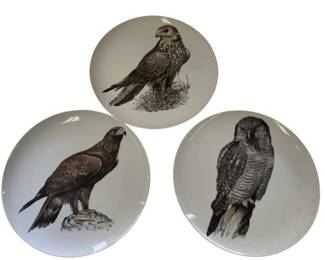 10" Plates Birds of Prey Eagle Falcon Owl Hunting Decor Vintage