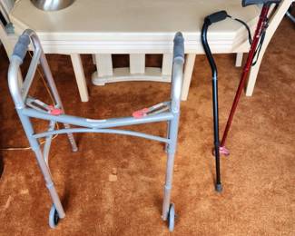 Standard Walker and Canes