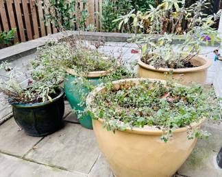 Outdoor glazed planters