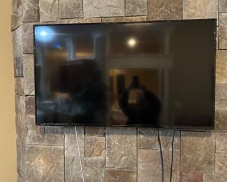 Insignia flat screen 