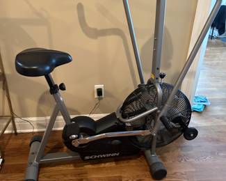 Schwinn airdyne