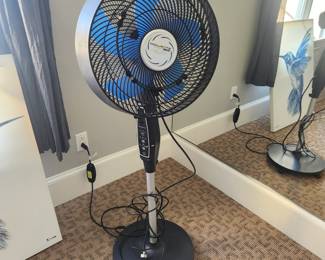 Rowenta Outdoor Misting Fan