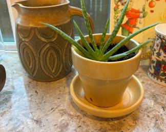 Carved Stoneware Pitcher, Potted Aloe Vera Plant