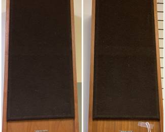 vintage Realistic Speakers