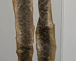 Rattlesnake Skins