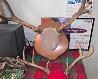 Deer Horn Mounts
