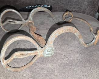 US Military Horse Bridle