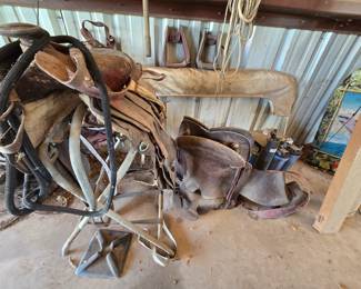 Saddles - Bridles