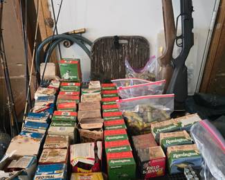 Ammo
