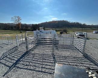 UNUSED HD GALVANIZED CATTLE HANDLING SYSTEM