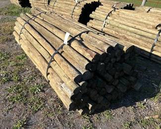 100 3X7 TREATED POSTS
