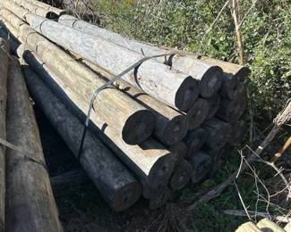 24 78X8 TREATED POSTS
