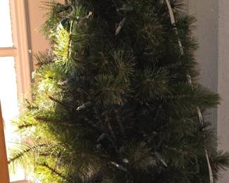 1 of 2 porch trees
$50 each