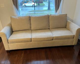 Pottery Barn sleeper sofa.....
