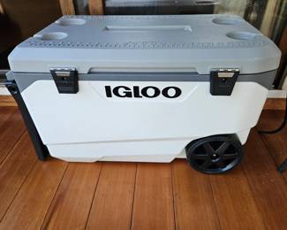 Igloo Cooler 
