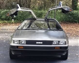 DeLorean Wing Doors