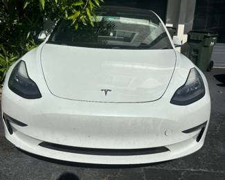 2019 Tesla Model 3 Dual Motor 
Mileage 74,835
Available after Dec 15. Please text 352-281-1822 if interested 
