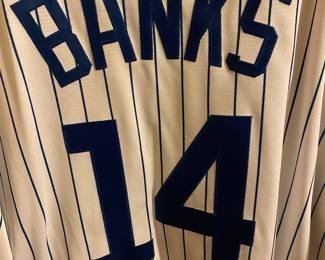 Ernie Banks #14