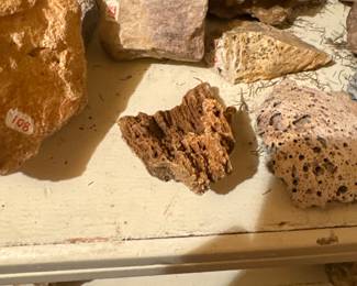 LOTs of old fossils! 