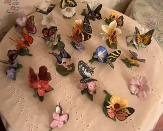 Lenox butterflies