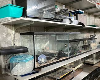 Terrariums & supplies