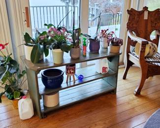 Plants, Orchids & Christmas Cactus