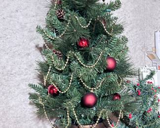 Decorated Christmas Trees 
