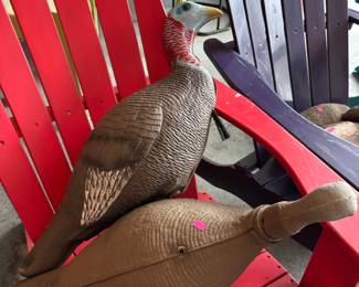 Turkey and duck decoys