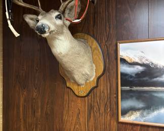 Deer mount