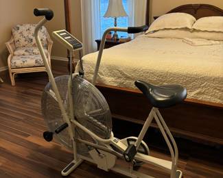 Schwann exercise bike