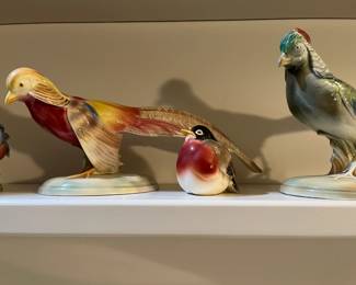 Will George birds