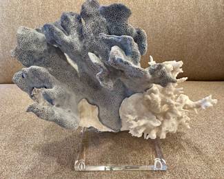 Blue and white coral on acrylic base 