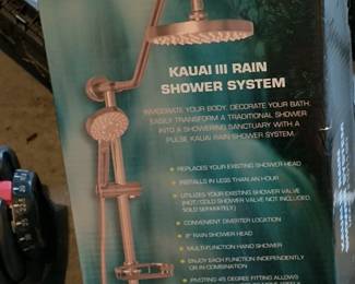 Pulse Shower System