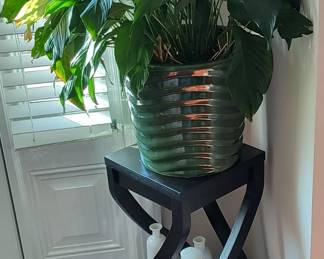 House Plant & Table