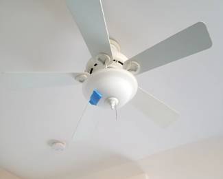 Lighted ceiling fan