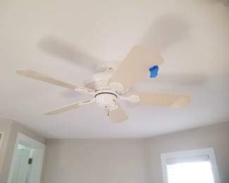 Lighted ceiling fan