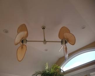 Double ceiling fan by Fanimation