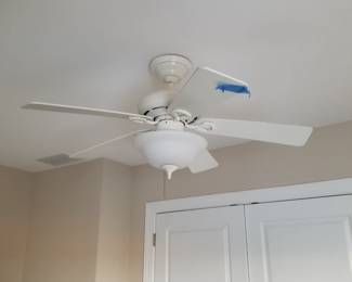 Lighted ceiling fan