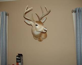 Deer Head