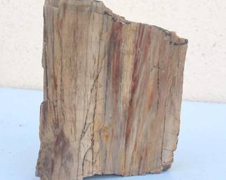 Petrified Wood