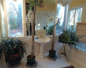 Botanical selection