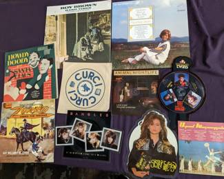 Mixed Record / Vinyl lot