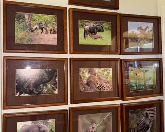 These photos were taken while the homeowners were on an African safari.