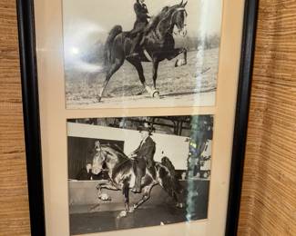 The lady of the house was passionate about horses and photography.