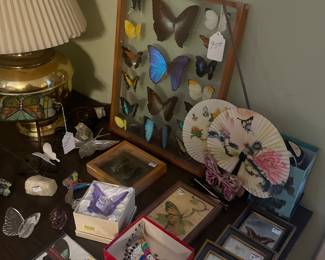 Buttterfly collection